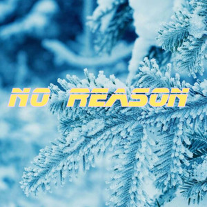 No Reasoning (Explicit)