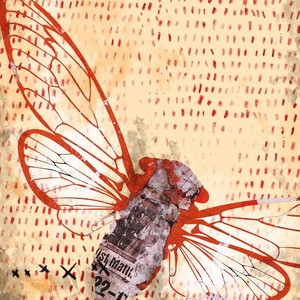 A Third of What I Have