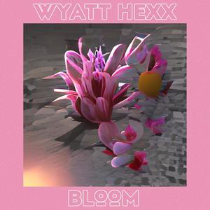 Bloom