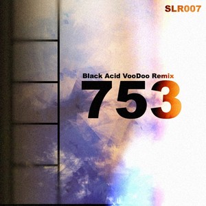 753 (Black Acid Voodoo Remix)