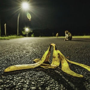 monkey business (feat. DJ.DAI) (Explicit)