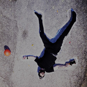 Where the Wild thYngs Are