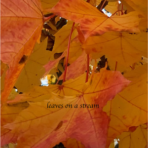 We are leaves on a stream