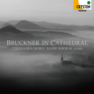 Bruckner in Cathedral