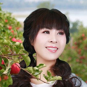 《家乡的苹果相思红 》DJ何鹏版