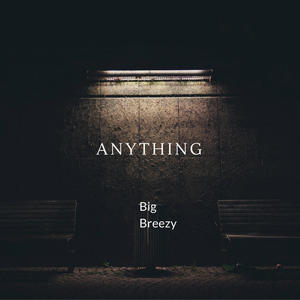 Anything (feat. prod.Malloy)