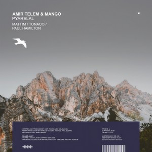 Pyarelal (Tonaco Remix)