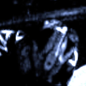 HEXED (Explicit)