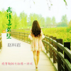 我该怎么整 (Remix)