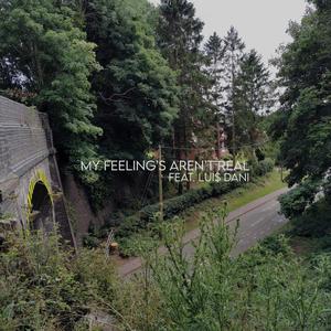 My Feelings Aren't Real(feat. dannyghost)