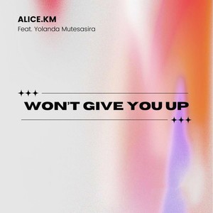 Won't Give You Up (Extended Mix)