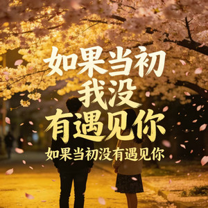 DJ大梦儿 - 如果当初我没有遇见你（如果当初没有遇见你）