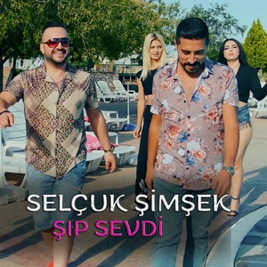 Şıp Sevdi