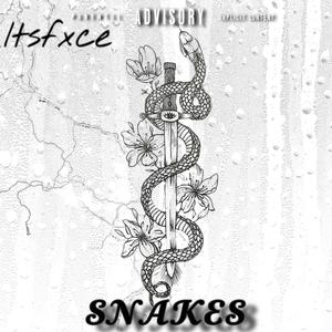 Snakes (Explicit)