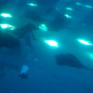 Strange Things Weird Places (Explicit)