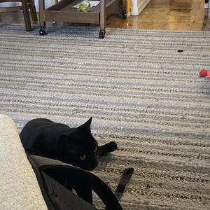 Exstasy (SLOWED & REVERB) (Explicit)