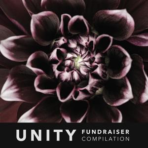 UNITY Fundraiser Compilation