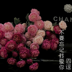 不要忘记我爱你