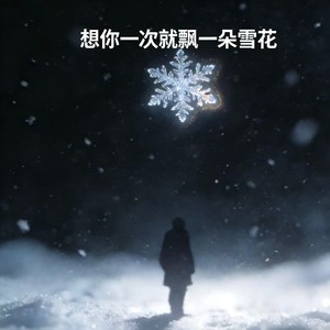 想你一次就飘一朵雪花