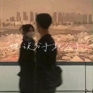 你说分手就分手