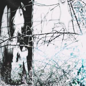 Conceited (Explicit)