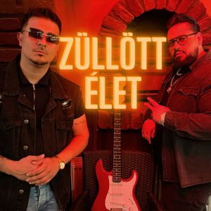 Züllött élet