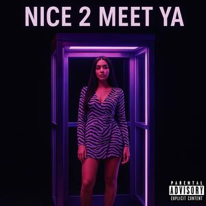 NICE 2 MEET YA (Explicit)