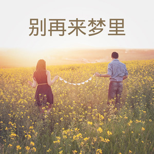 捡拼图的人封面