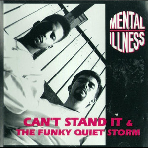 Can't Stand It / The Funky Quiet Storm