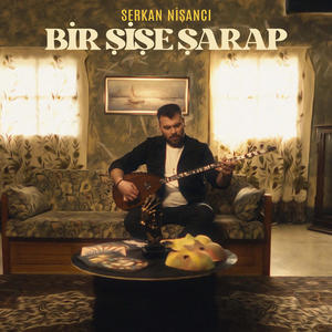 Bir Şişe Şarap