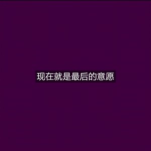 天龙十二门封面