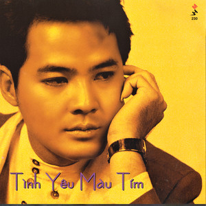 Tình yêu màu tím (Mưa Hồng CD 230)