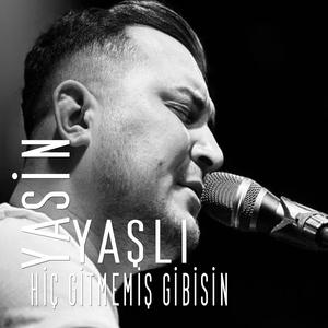 Hiç Gitmemiş Gibisin