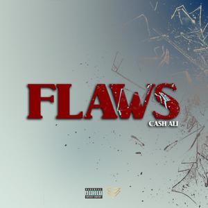 Flaws (Explicit)
