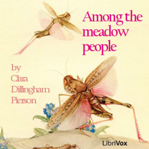 The Mosquito Tries to Teach His Neighbors