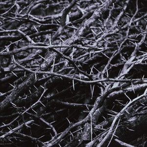 TRAKEA - Прутья