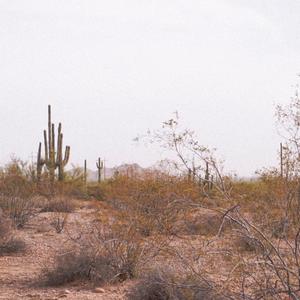 Tear Me Apart(feat. Tarmac Jones)