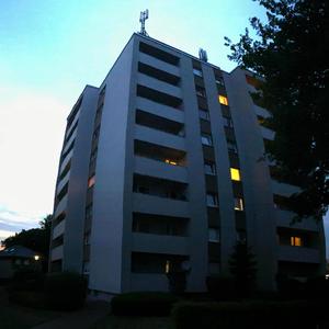 WE CAME FROM NOTHING (Explicit)