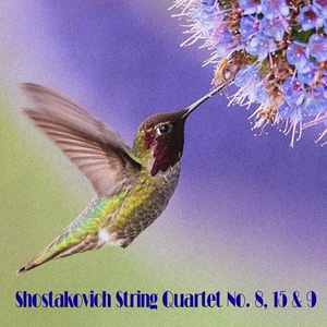 Shostakovich String Quartet No. 8, 15 & 9