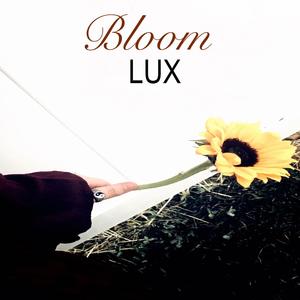 Bloom