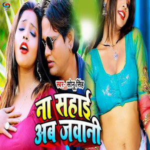 Na Sahai Ab Jawani