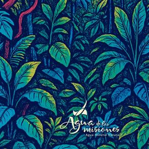 AGUA DE LAS MISIONES