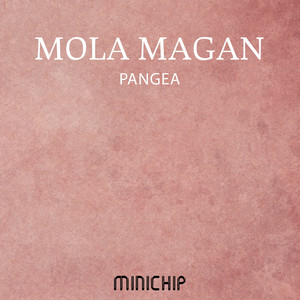 Pangea (Weevcha Vivira Rhythm Guitar Mix)