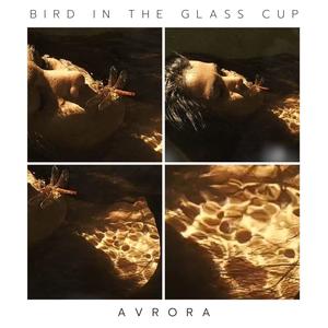 bird in the glass cup