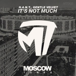 It's Not Much (Original Mix)