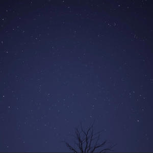 Aaron Rogers x Tonythahomie x Dmac! Late Night (Explicit)