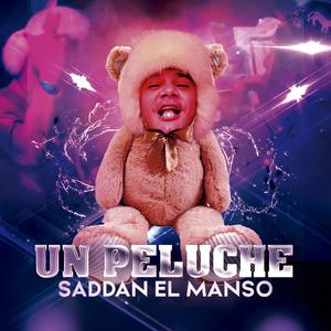 Un peluche