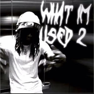 What I'm Used 2 (Explicit)