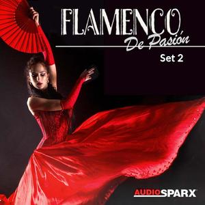 Flamenco de Pasión, Set 2