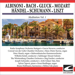 Albinoni - Bach - Gluck - Mozart - Händel - Schumann - Liszt - Meditation Vol. 1